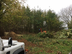 Site Clearance Copse On Site Chipping Taverham