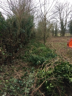 Hedge Reduction Works Thursford