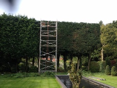 40 Foot High Hedge Trimming Side Face Dereham