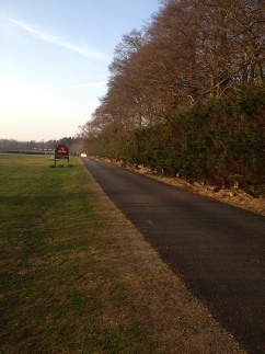 Height Reductions to Tree Line along Access Road to Crane Garden Buildings Show & Factory Site First Section Completed