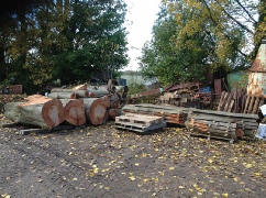 Beech Tree Timber removed from site for Milling
