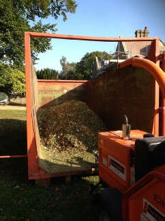 Lime Pollard & Sectional Dismantle Woodchip going for Biomass